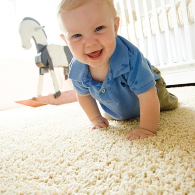 why-choose-our-carpet-cleaning-service